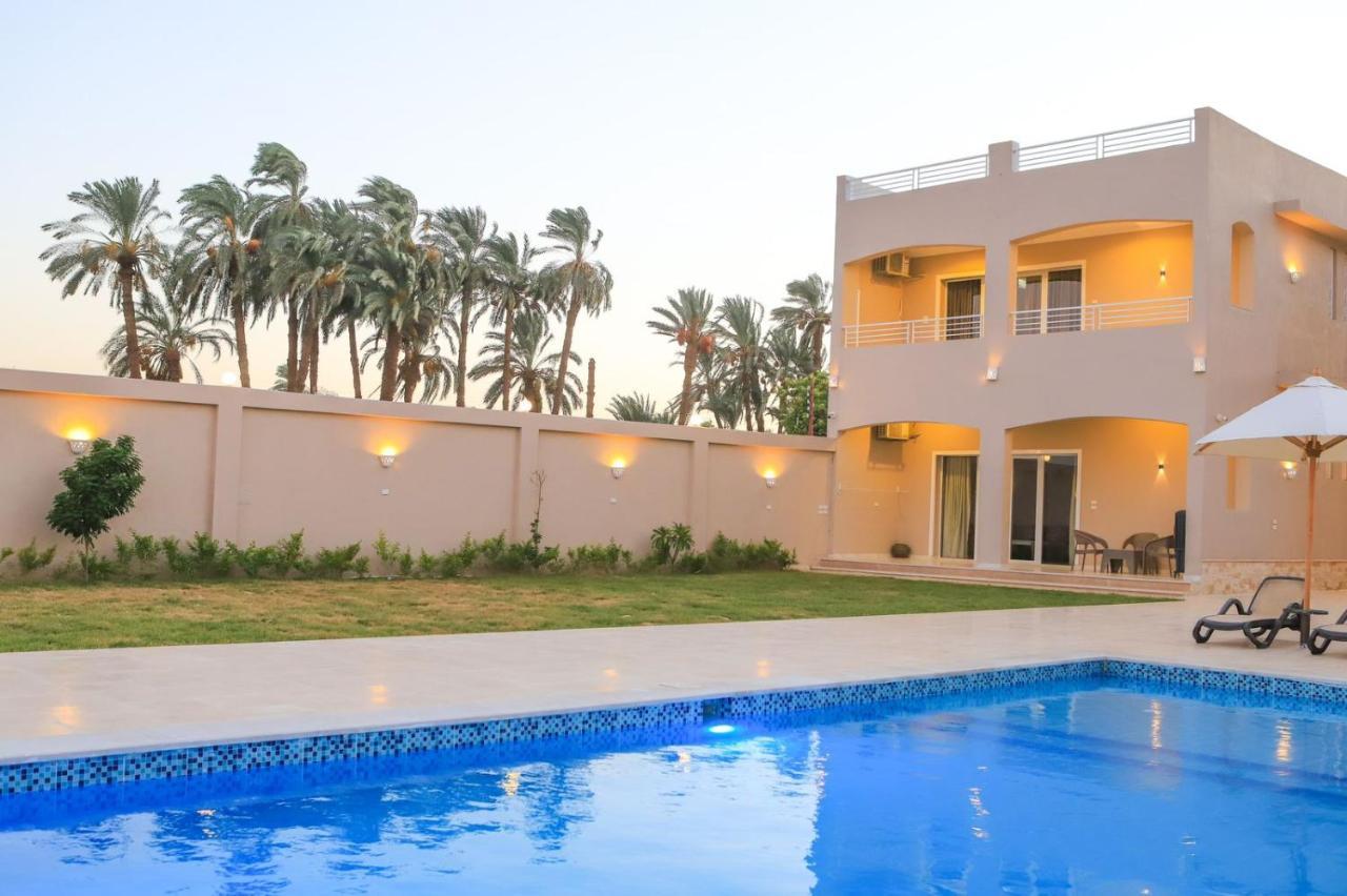 Royal Nile Villa - Pool View Apartment 1 Louxor Extérieur photo